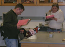 lab practical