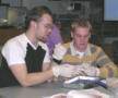 dissecting