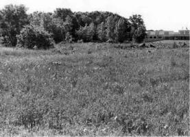 west field 1970