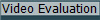 Video Evaluation