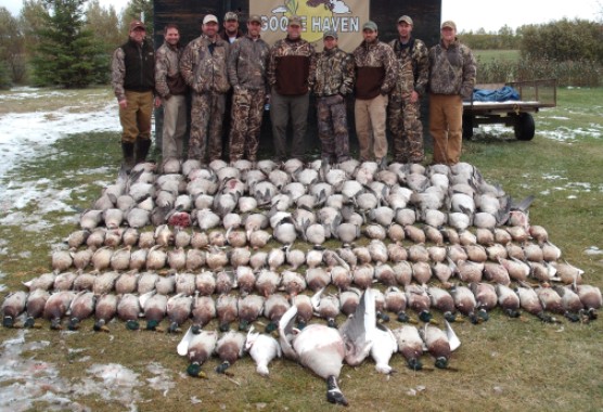 waterfowl outfitters,canada goose outfitters, canada duck outfitters, Waterfowl hunting, goose hunting, duck hunting.