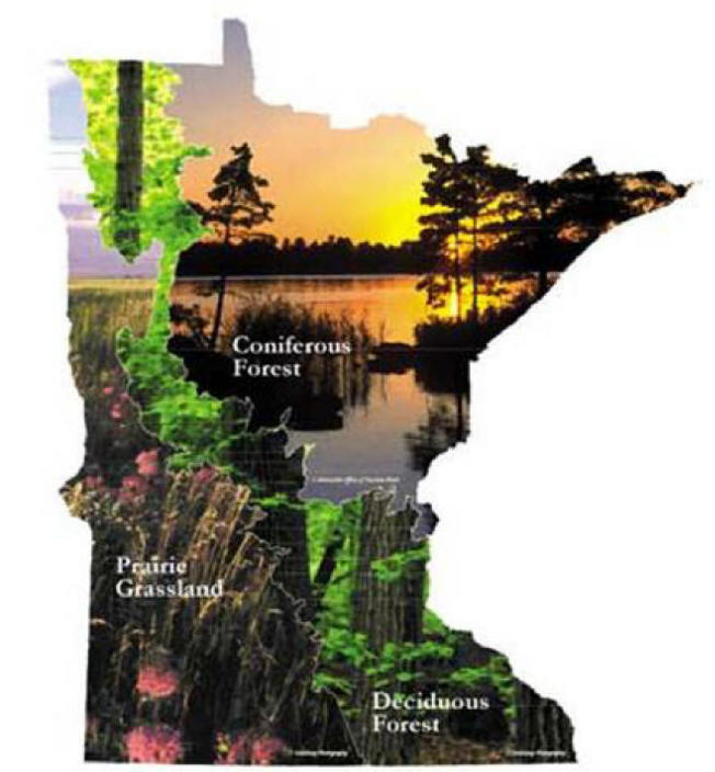 Map showing pictures of Minnesota's three biomes: coniferous forest, deciduous forest and prairie grassland.